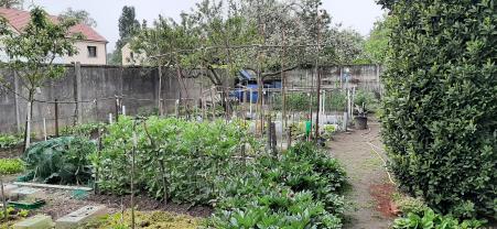 Location jardin potager