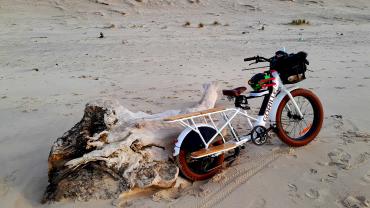 Location velos