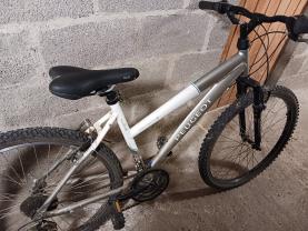Location velos