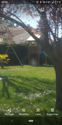 Service tonte de pelouse