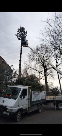 Service entretien espace vert