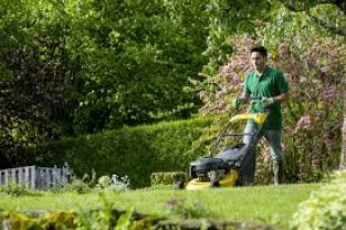 Service tonte de pelouse