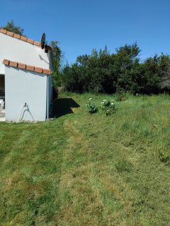 Service tonte de pelouse