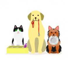 Service garde animaux