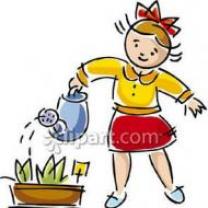 Service arrosage