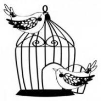 Service oiseaux