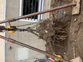Location rogneuse de souche