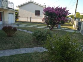 Service tonte de pelouse