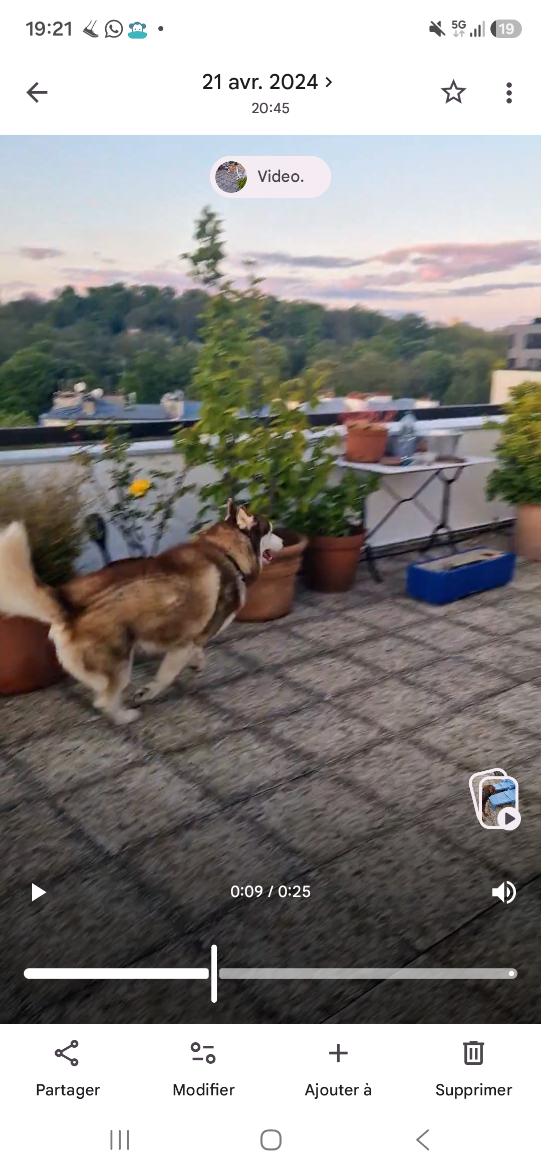 Service chien entre particuliers (75)