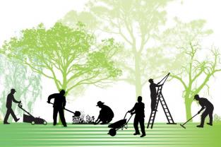 Service entretien jardin