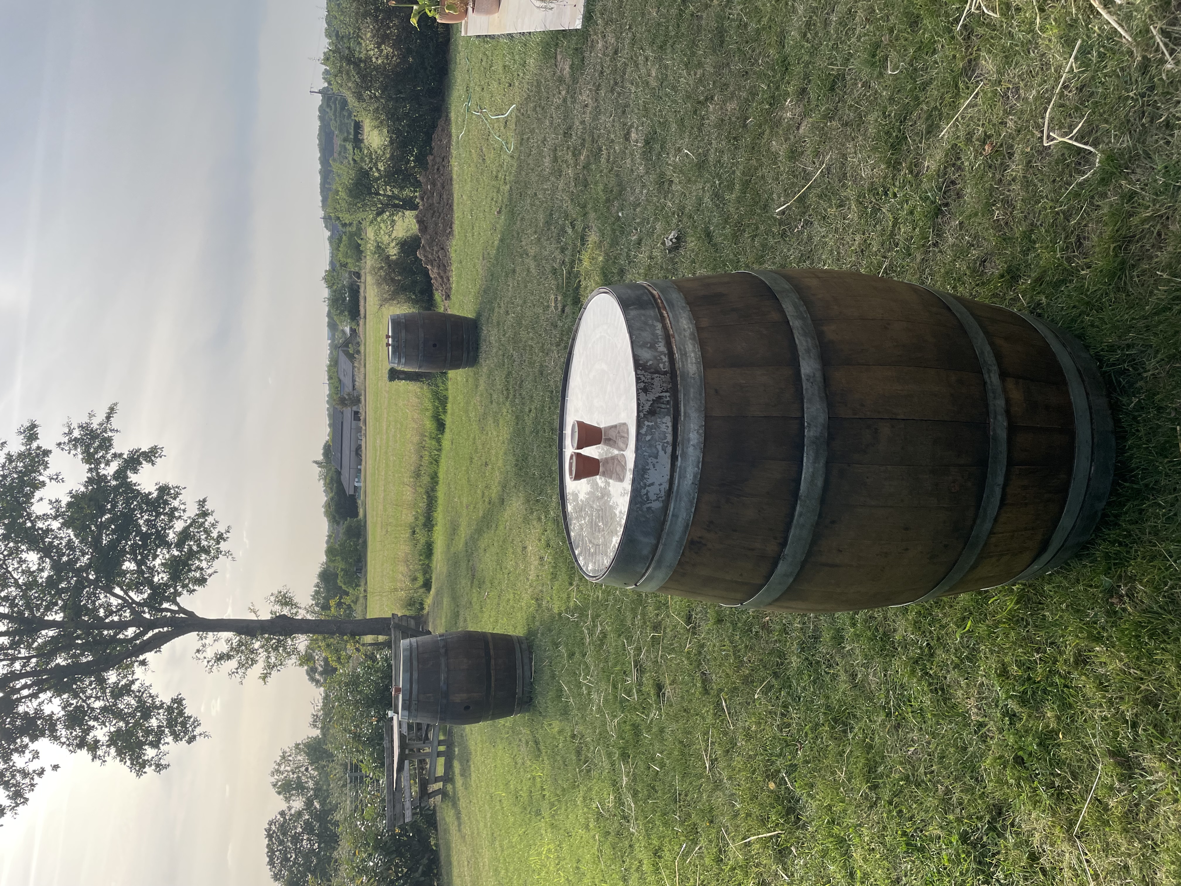 Location autre entre particuliers (49)