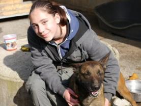 Service promeneur chien