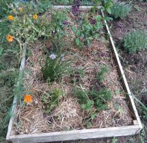 Service autres cours particuliers