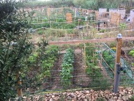 Location jardin potager
