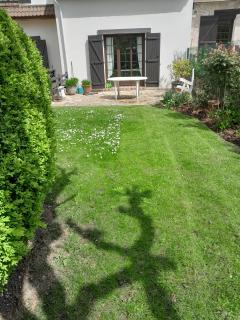 Service entretien jardin
