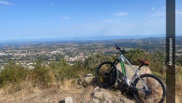 Location velos