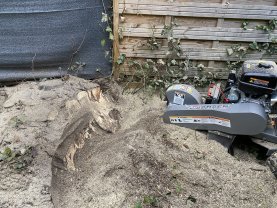 Location rogneuse de souche