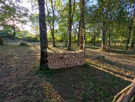 Service entretien espace vert