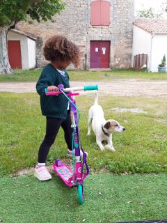 Location trottinette