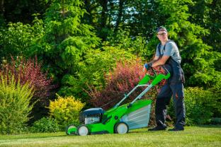 Service tonte de pelouse