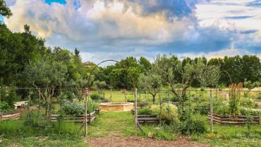 Location jardin potager