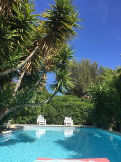 Location piscine