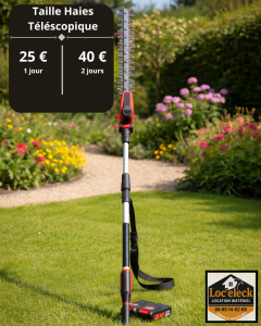 Location taille haie