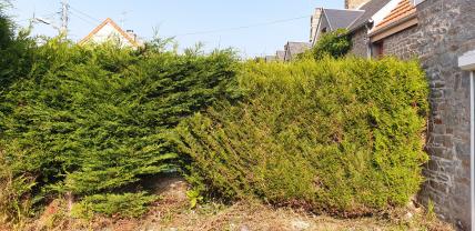 Service entretien jardin