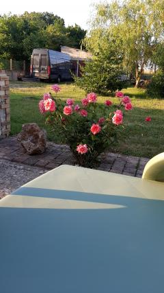 Location utilitaire