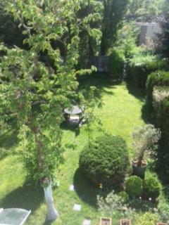Service entretien espace vert