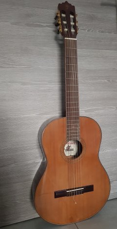 Location guitare