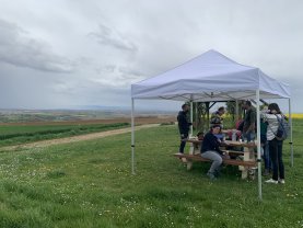 Location tente reception