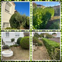 Service entretien jardin