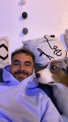 Service chien