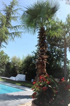 Location avec piscine