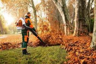Location aspirateur souffleur