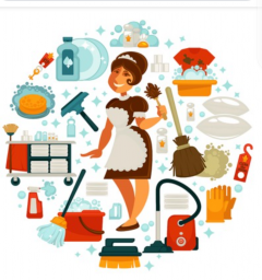 Service aide menagere