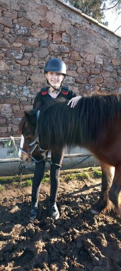 Service garde animaux