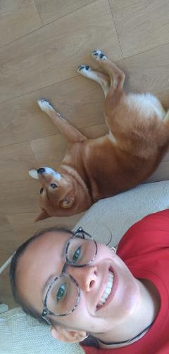 Service garde animaux