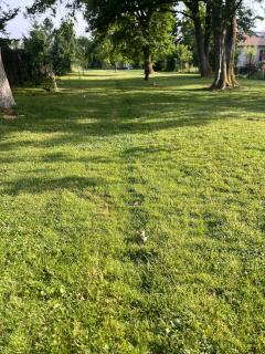 Location autre