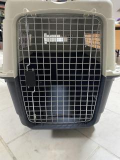 Location cage transport animaux