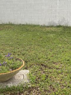 Service amenagement jardin