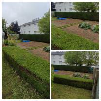 Service entretien jardin