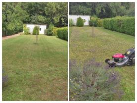 Service tonte de pelouse