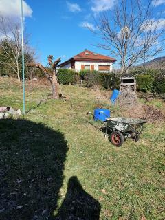 Location minipelle
