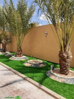 Service entretien jardin