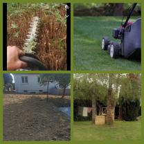 Service entretien espace vert
