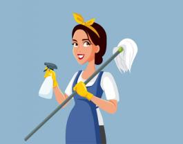 Service aide menagere