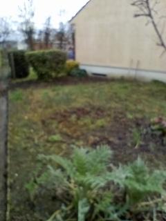 Location motoculteur
