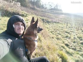 Service garde animaux